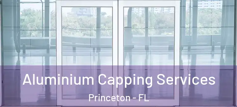  Aluminium Capping Services Princeton - FL
