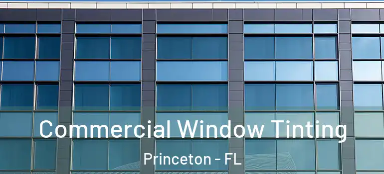  Commercial Window Tinting Princeton - FL