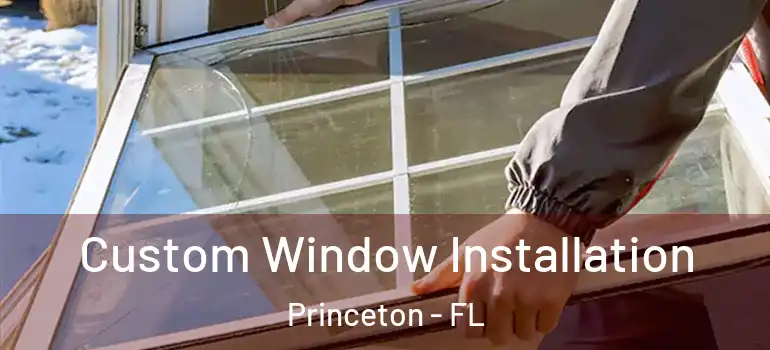  Custom Window Installation Princeton - FL