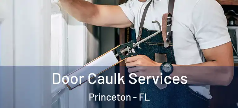  Door Caulk Services Princeton - FL