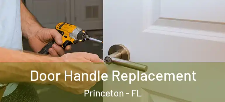  Door Handle Replacement Princeton - FL