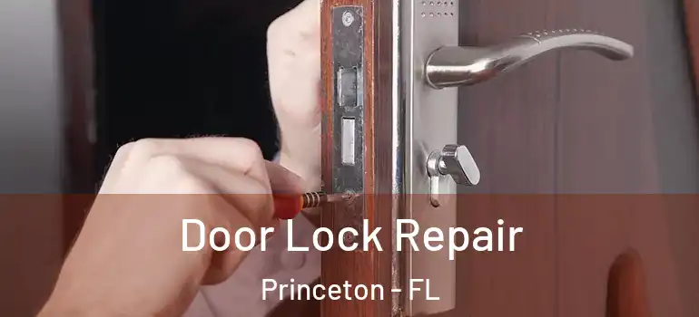  Door Lock Repair Princeton - FL