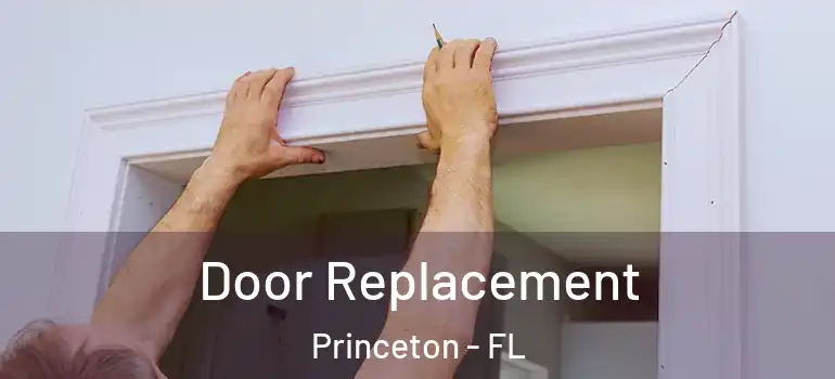  Door Replacement Princeton - FL