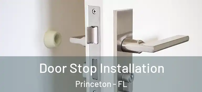  Door Stop Installation Princeton - FL