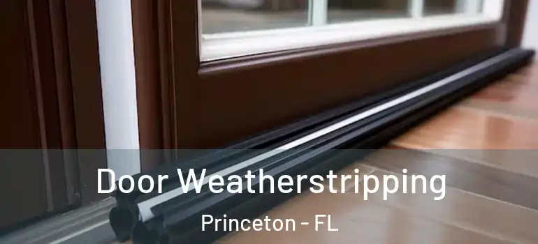  Door Weatherstripping Princeton - FL