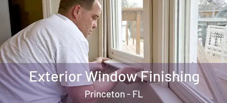 Exterior Window Finishing Princeton - FL