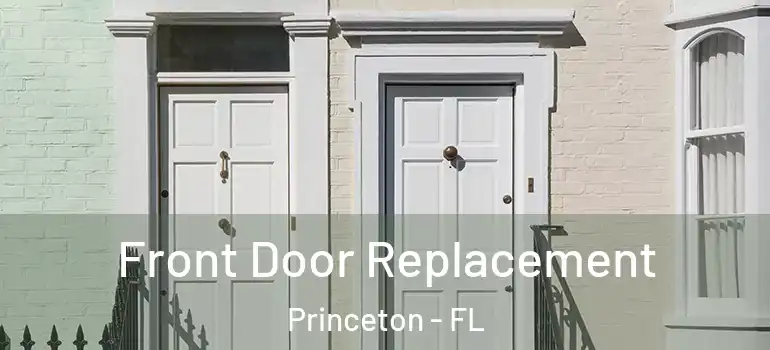  Front Door Replacement Princeton - FL