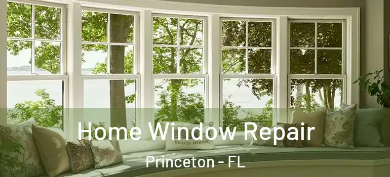  Home Window Repair Princeton - FL