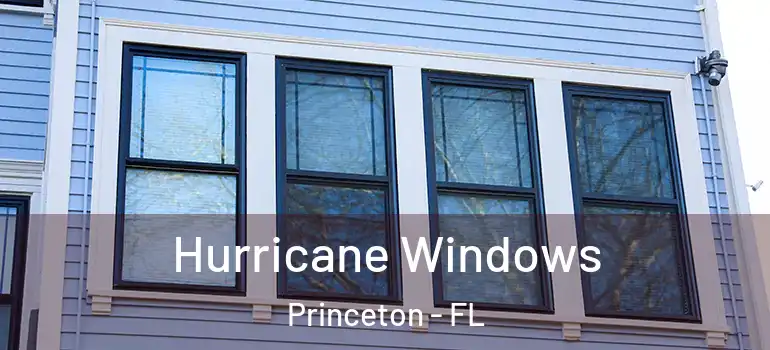  Hurricane Windows Princeton - FL