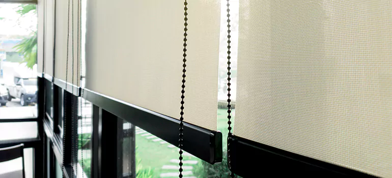 Blackout Window Shades in Princeton, FL