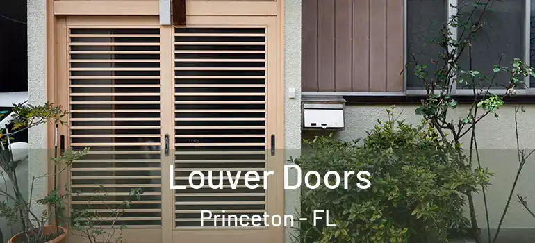  Louver Doors Princeton - FL