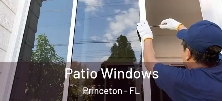  Patio Windows Princeton - FL