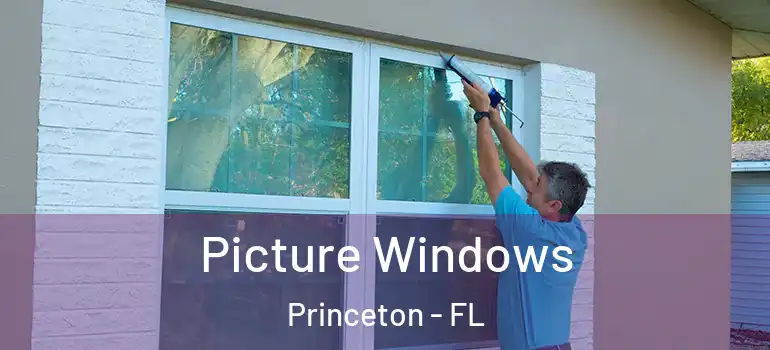 Picture Windows Princeton - FL