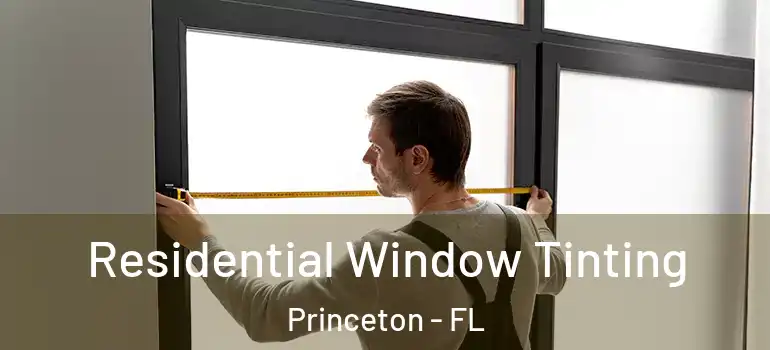  Residential Window Tinting Princeton - FL