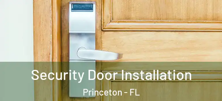  Security Door Installation Princeton - FL