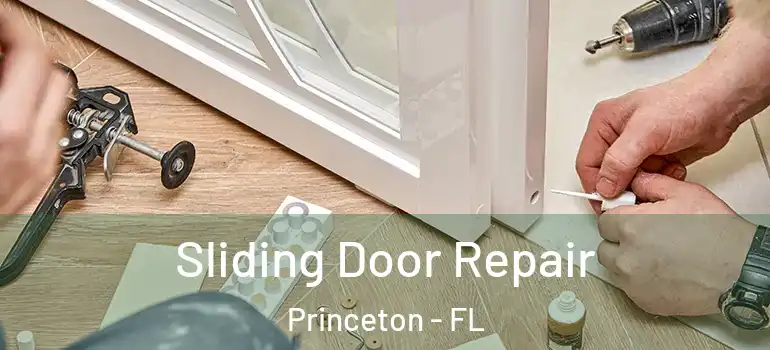  Sliding Door Repair Princeton - FL