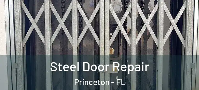  Steel Door Repair Princeton - FL