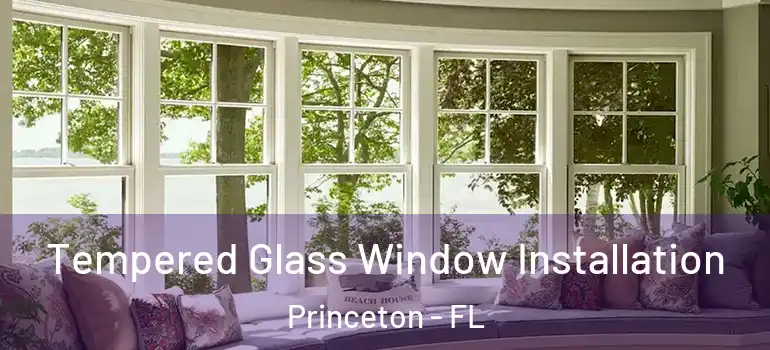  Tempered Glass Window Installation Princeton - FL
