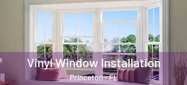  Vinyl Window Installation Princeton - FL