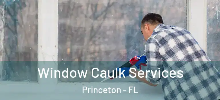 Window Caulk Services Princeton - FL