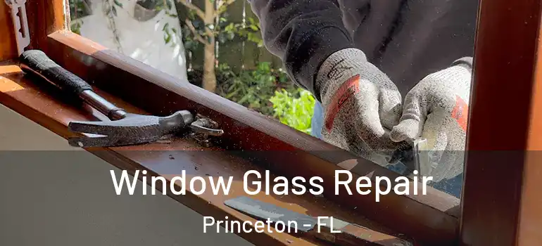  Window Glass Repair Princeton - FL
