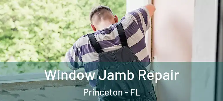  Window Jamb Repair Princeton - FL