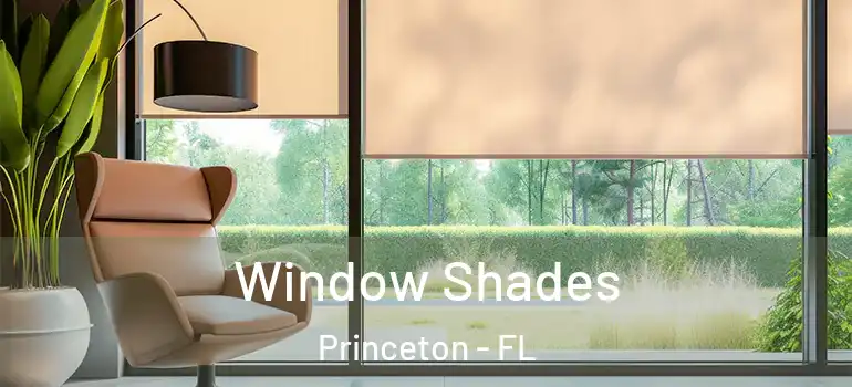  Window Shades Princeton - FL