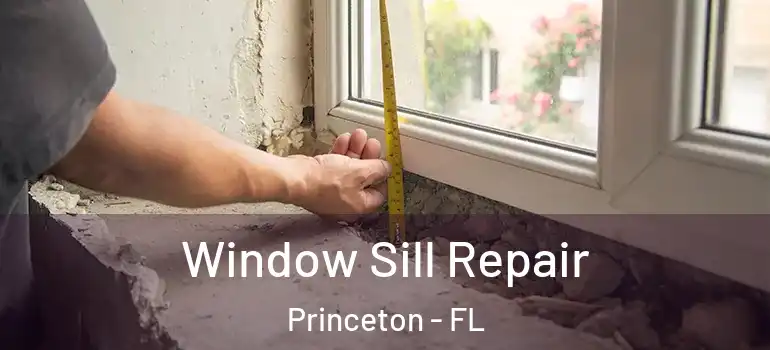  Window Sill Repair Princeton - FL