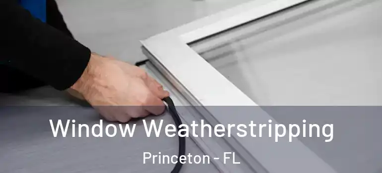  Window Weatherstripping Princeton - FL
